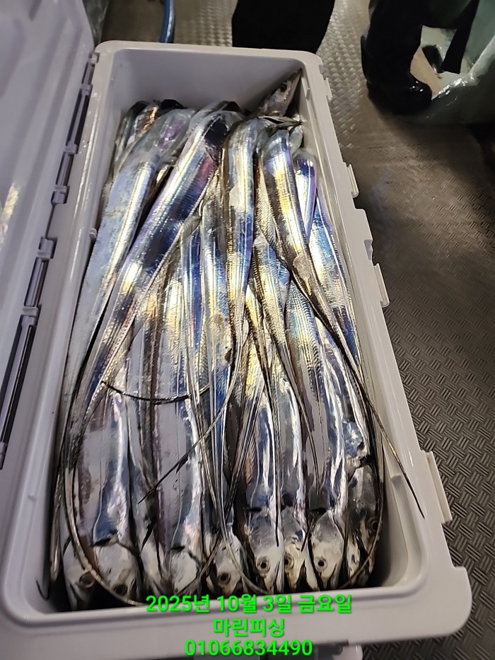 1126a4d9e0854d7a974ef2572dda9e1e_1759462781_4465.jpg 1126a4d9e0854d7a974ef2572dda9e1e_1759462781_4465.jpg