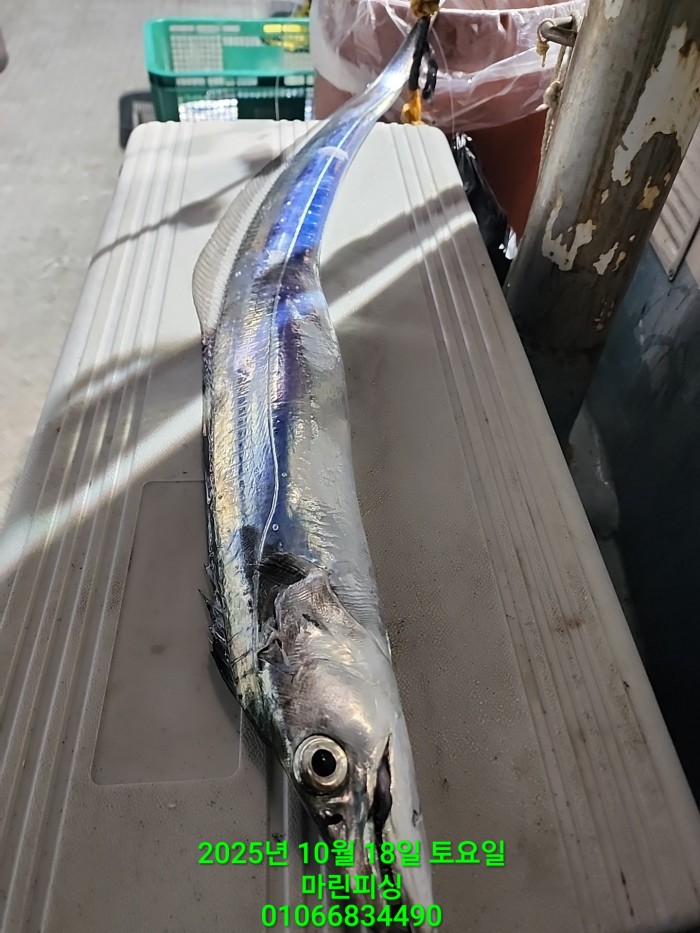 36a1bea06ad9703203d61a1e7b6bdf0c_1760750619_4835.jpg 36a1bea06ad9703203d61a1e7b6bdf0c_1760750619_4835.jpg