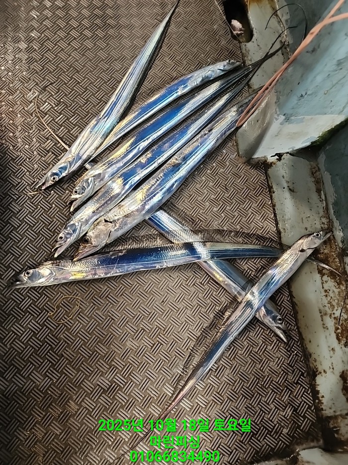 36a1bea06ad9703203d61a1e7b6bdf0c_1760750620_7372.jpg 36a1bea06ad9703203d61a1e7b6bdf0c_1760750620_7372.jpg