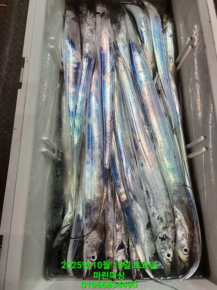 36a1bea06ad9703203d61a1e7b6bdf0c_1760750622_2008.jpg 36a1bea06ad9703203d61a1e7b6bdf0c_1760750622_2008.jpg