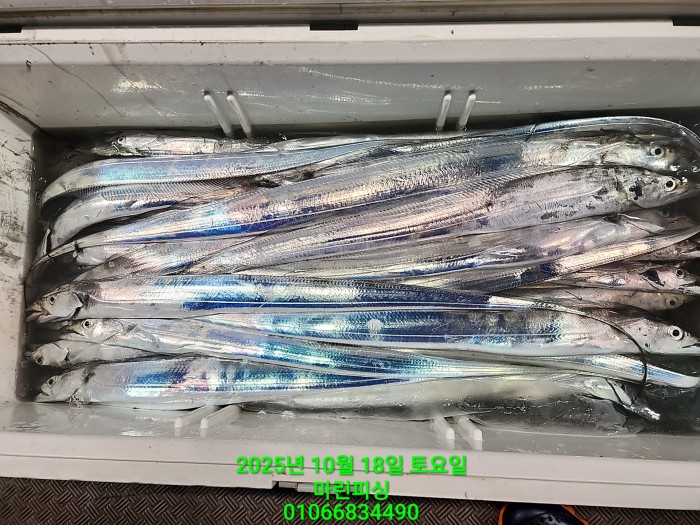 36a1bea06ad9703203d61a1e7b6bdf0c_1760750623_3485.jpg 36a1bea06ad9703203d61a1e7b6bdf0c_1760750623_3485.jpg