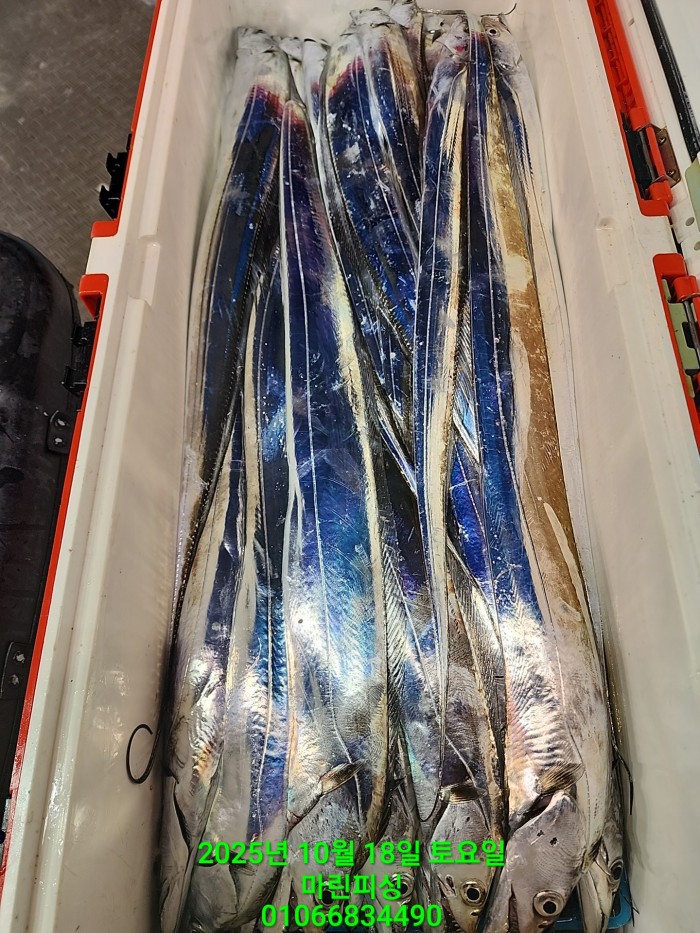 36a1bea06ad9703203d61a1e7b6bdf0c_1760750624_4284.jpg 36a1bea06ad9703203d61a1e7b6bdf0c_1760750624_4284.jpg