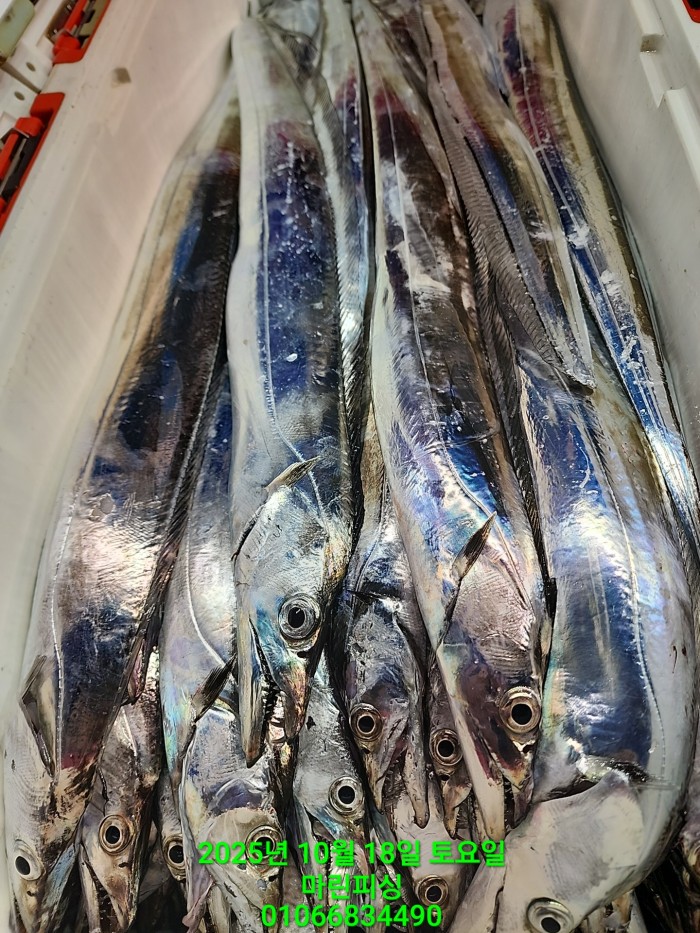 36a1bea06ad9703203d61a1e7b6bdf0c_1760750625_7221.jpg 36a1bea06ad9703203d61a1e7b6bdf0c_1760750625_7221.jpg