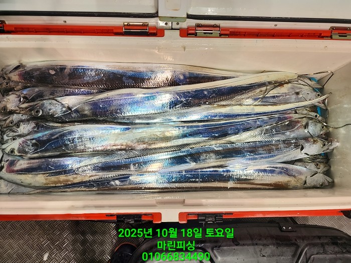 36a1bea06ad9703203d61a1e7b6bdf0c_1760750626_8615.jpg 36a1bea06ad9703203d61a1e7b6bdf0c_1760750626_8615.jpg