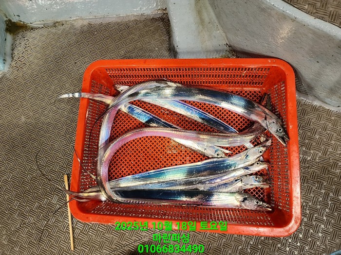 36a1bea06ad9703203d61a1e7b6bdf0c_1760750628_2079.jpg 36a1bea06ad9703203d61a1e7b6bdf0c_1760750628_2079.jpg