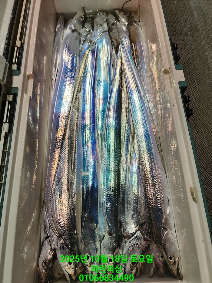 36a1bea06ad9703203d61a1e7b6bdf0c_1760750629_3007.jpg 36a1bea06ad9703203d61a1e7b6bdf0c_1760750629_3007.jpg