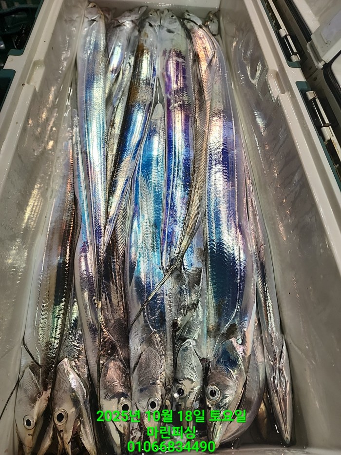 36a1bea06ad9703203d61a1e7b6bdf0c_1760750630_5348.jpg 36a1bea06ad9703203d61a1e7b6bdf0c_1760750630_5348.jpg