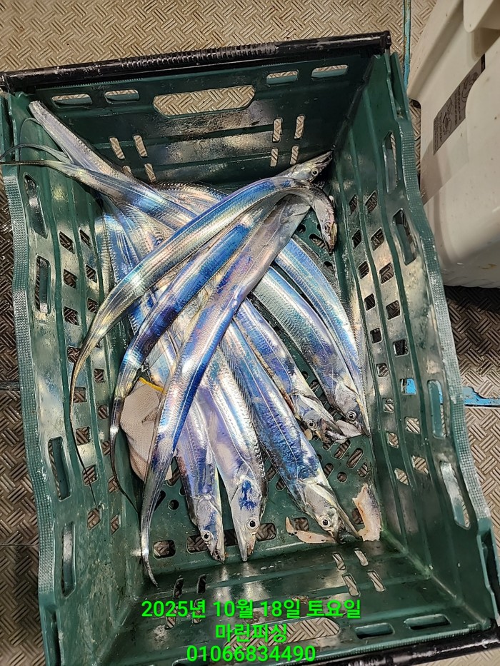 36a1bea06ad9703203d61a1e7b6bdf0c_1760750632_9654.jpg 36a1bea06ad9703203d61a1e7b6bdf0c_1760750632_9654.jpg