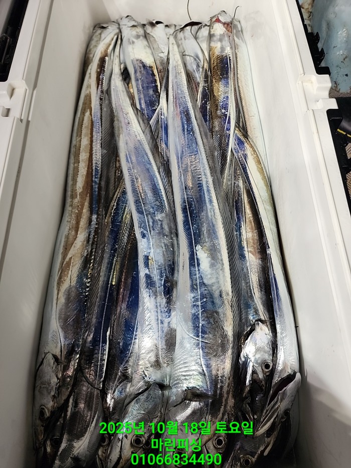 36a1bea06ad9703203d61a1e7b6bdf0c_1760750634_0229.jpg 36a1bea06ad9703203d61a1e7b6bdf0c_1760750634_0229.jpg