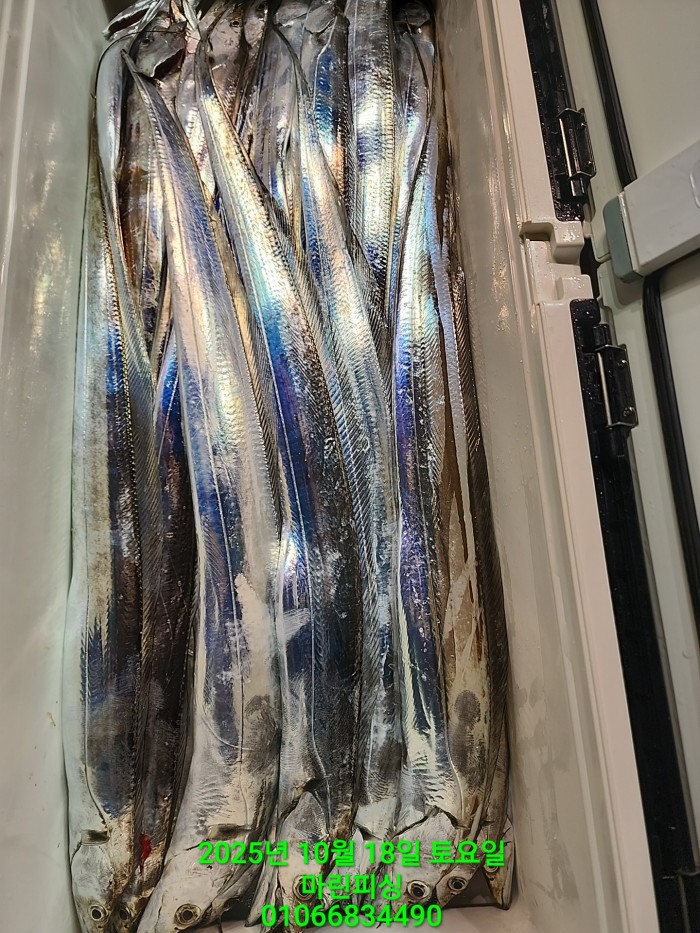 36a1bea06ad9703203d61a1e7b6bdf0c_1760750635_2392.jpg 36a1bea06ad9703203d61a1e7b6bdf0c_1760750635_2392.jpg