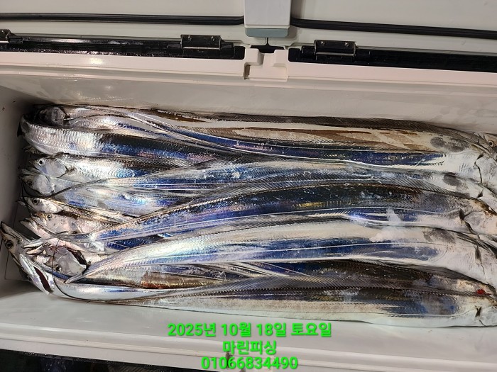 36a1bea06ad9703203d61a1e7b6bdf0c_1760750636_4313.jpg 36a1bea06ad9703203d61a1e7b6bdf0c_1760750636_4313.jpg