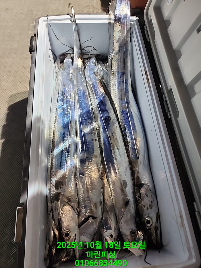 36a1bea06ad9703203d61a1e7b6bdf0c_1760750638_0987.jpg 36a1bea06ad9703203d61a1e7b6bdf0c_1760750638_0987.jpg