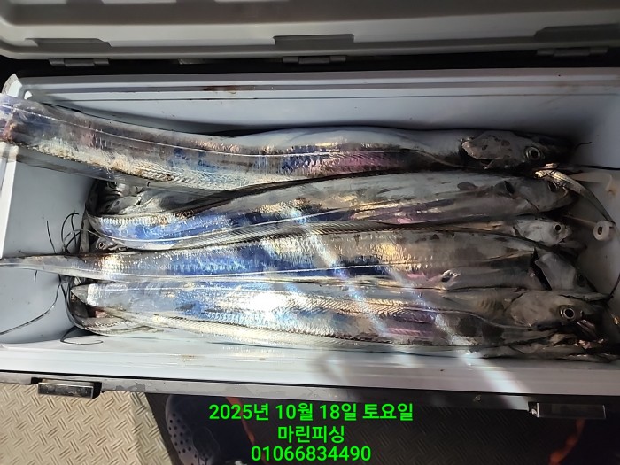 36a1bea06ad9703203d61a1e7b6bdf0c_1760750639_4135.jpg 36a1bea06ad9703203d61a1e7b6bdf0c_1760750639_4135.jpg