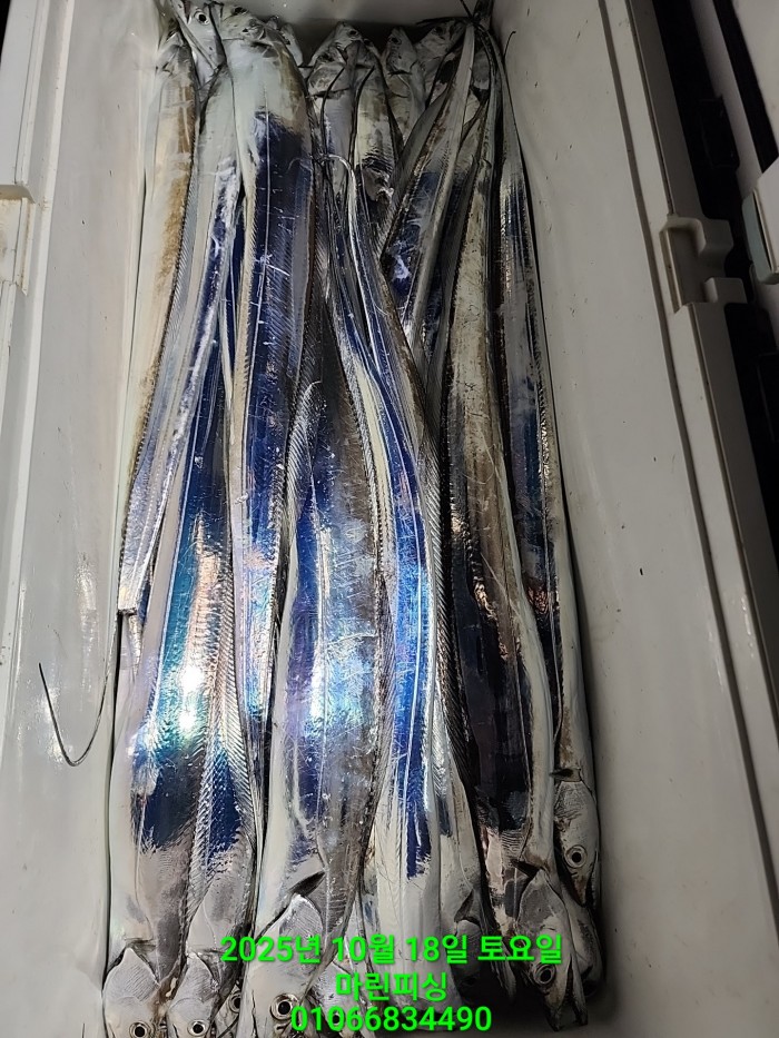 36a1bea06ad9703203d61a1e7b6bdf0c_1760750640_4394.jpg 36a1bea06ad9703203d61a1e7b6bdf0c_1760750640_4394.jpg