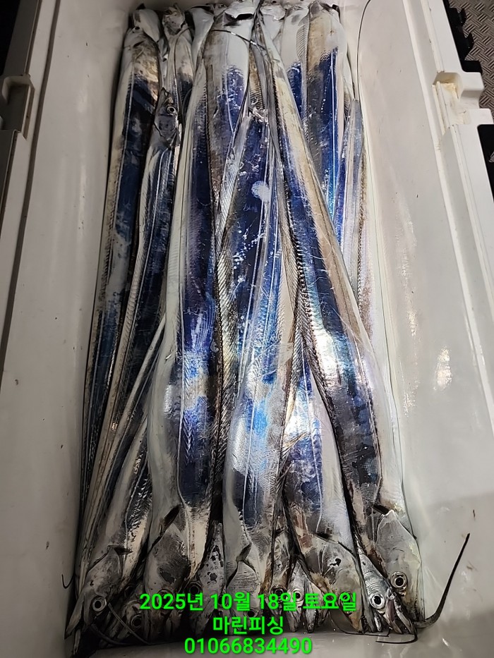 36a1bea06ad9703203d61a1e7b6bdf0c_1760750642_2912.jpg 36a1bea06ad9703203d61a1e7b6bdf0c_1760750642_2912.jpg