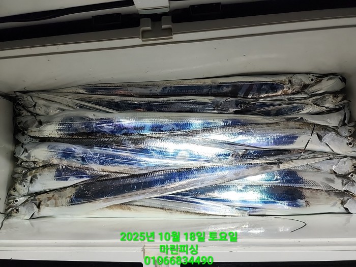 36a1bea06ad9703203d61a1e7b6bdf0c_1760750644_6883.jpg 36a1bea06ad9703203d61a1e7b6bdf0c_1760750644_6883.jpg