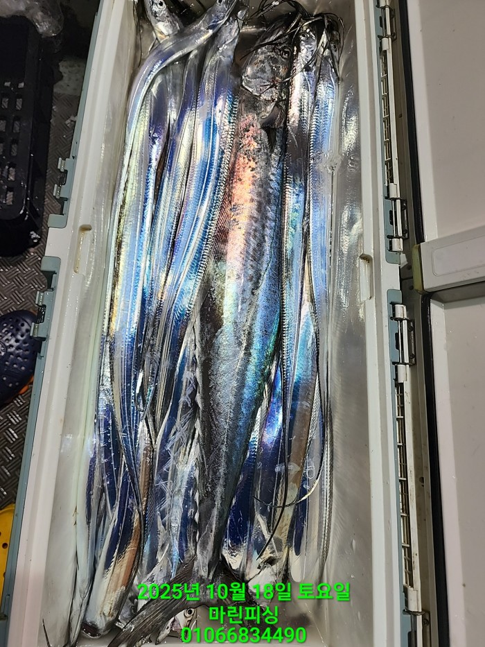 36a1bea06ad9703203d61a1e7b6bdf0c_1760750647_938.jpg 36a1bea06ad9703203d61a1e7b6bdf0c_1760750647_938.jpg