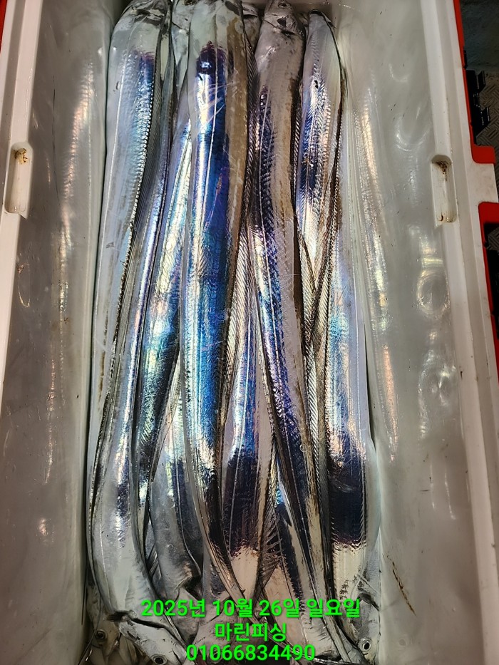 d949a52dffb92ba2f5dead5178757f91_1761449992_2884.jpg d949a52dffb92ba2f5dead5178757f91_1761449992_2884.jpg