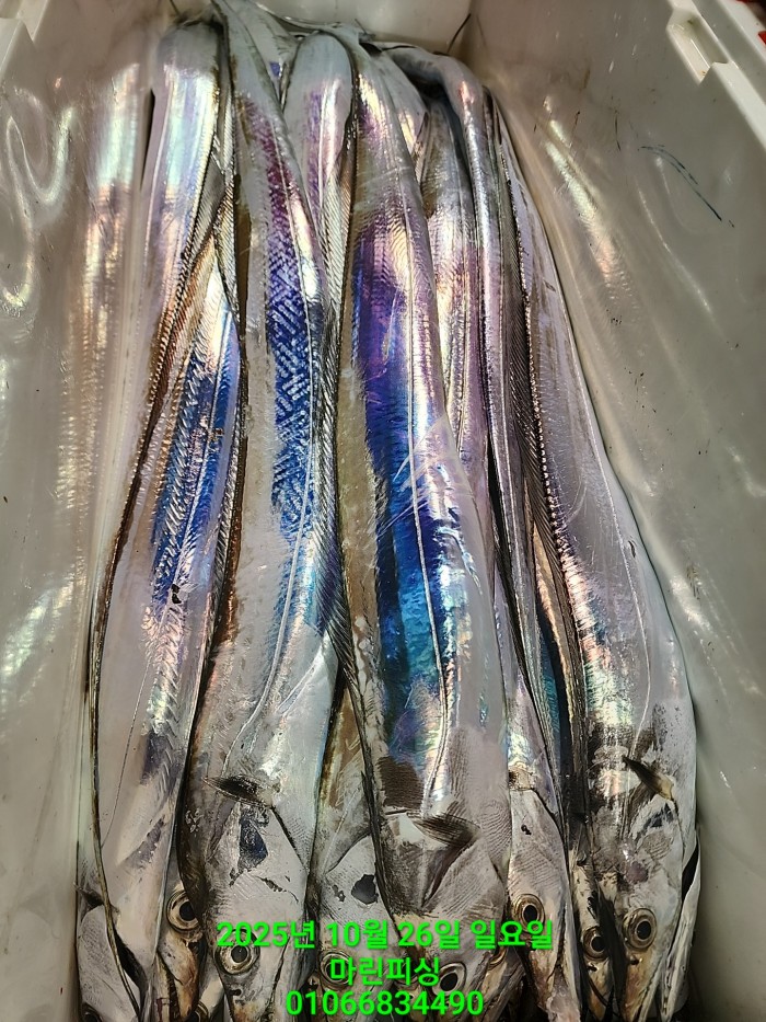 d949a52dffb92ba2f5dead5178757f91_1761449993_3536.jpg d949a52dffb92ba2f5dead5178757f91_1761449993_3536.jpg