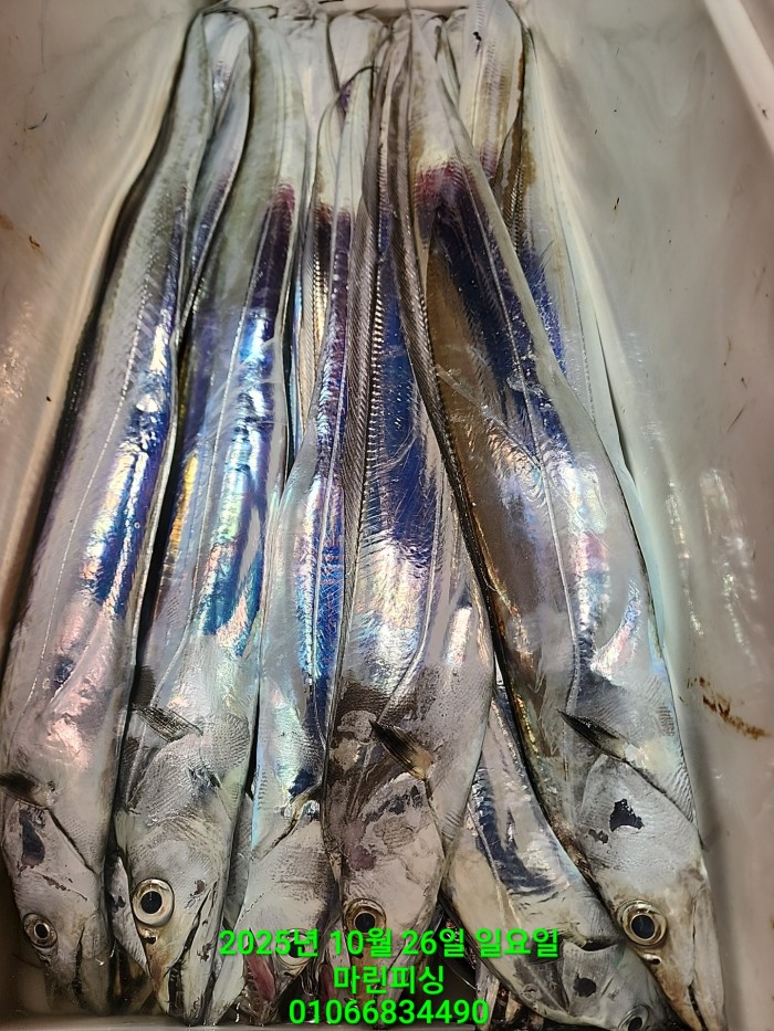 d949a52dffb92ba2f5dead5178757f91_1761449994_4273.jpg d949a52dffb92ba2f5dead5178757f91_1761449994_4273.jpg