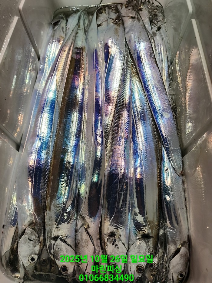 d949a52dffb92ba2f5dead5178757f91_1761449995_6348.jpg d949a52dffb92ba2f5dead5178757f91_1761449995_6348.jpg