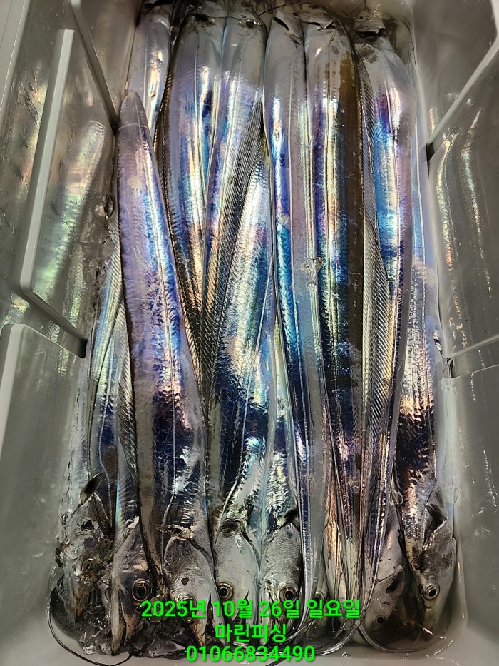 d949a52dffb92ba2f5dead5178757f91_1761449996_8428.jpg d949a52dffb92ba2f5dead5178757f91_1761449996_8428.jpg