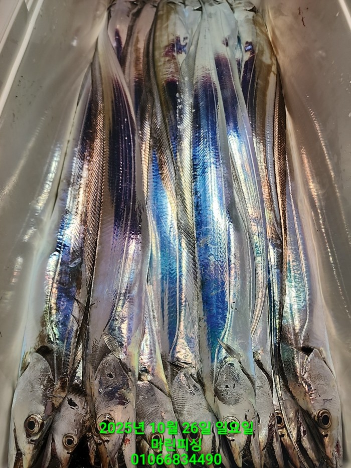 d949a52dffb92ba2f5dead5178757f91_1761449999_438.jpg d949a52dffb92ba2f5dead5178757f91_1761449999_438.jpg