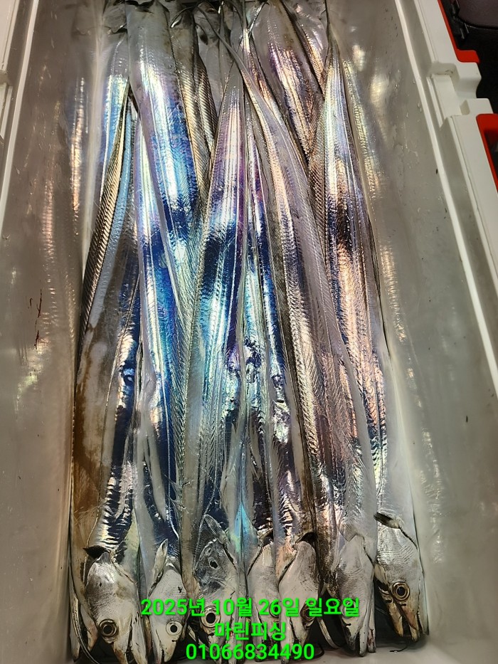 d949a52dffb92ba2f5dead5178757f91_1761450000_8295.jpg d949a52dffb92ba2f5dead5178757f91_1761450000_8295.jpg