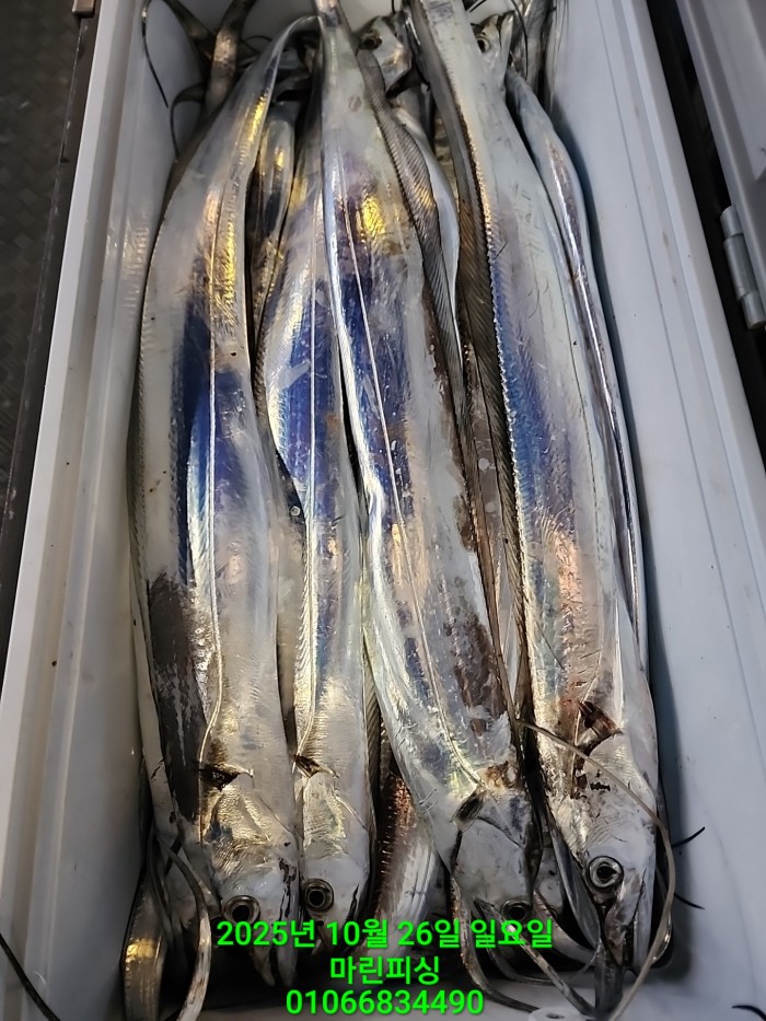 d949a52dffb92ba2f5dead5178757f91_1761450001_6708.jpg d949a52dffb92ba2f5dead5178757f91_1761450001_6708.jpg