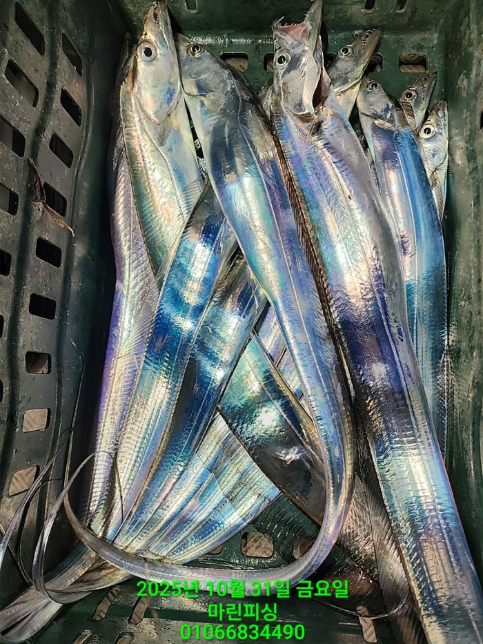 e264b1bee7664a93722fe29646fa96a9_1761956313_5511.jpg e264b1bee7664a93722fe29646fa96a9_1761956313_5511.jpg