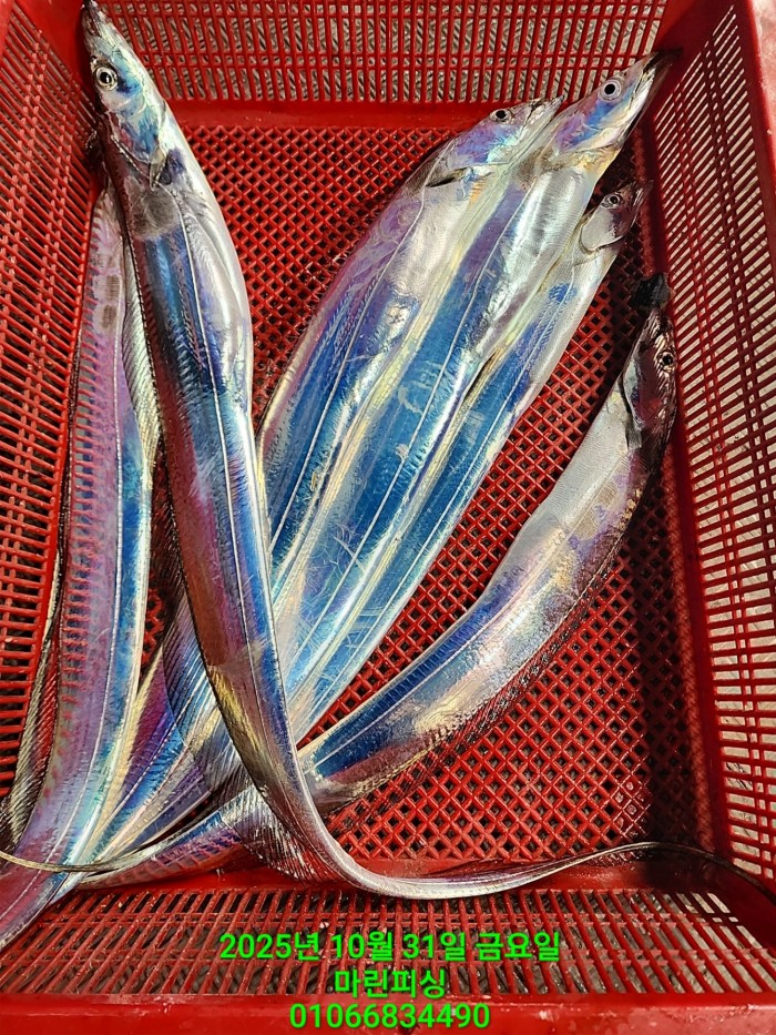 e264b1bee7664a93722fe29646fa96a9_1761956315_9644.jpg e264b1bee7664a93722fe29646fa96a9_1761956315_9644.jpg