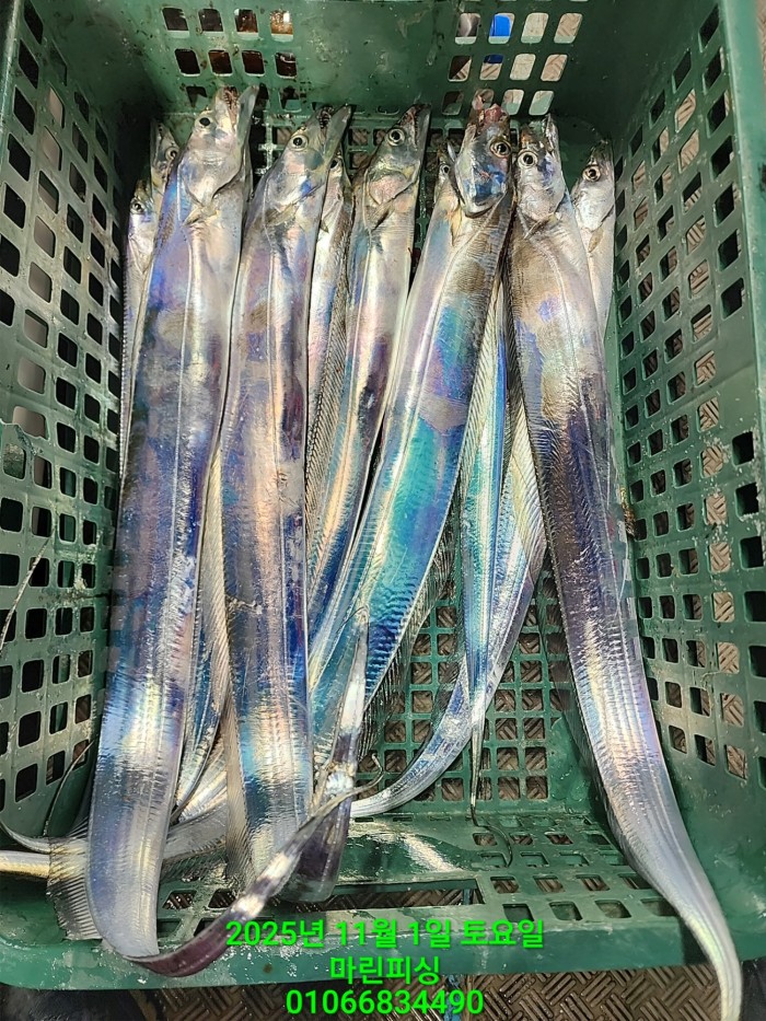 e264b1bee7664a93722fe29646fa96a9_1761956317_9555.jpg e264b1bee7664a93722fe29646fa96a9_1761956317_9555.jpg