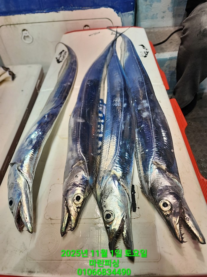 e264b1bee7664a93722fe29646fa96a9_1761956319_5059.jpg e264b1bee7664a93722fe29646fa96a9_1761956319_5059.jpg