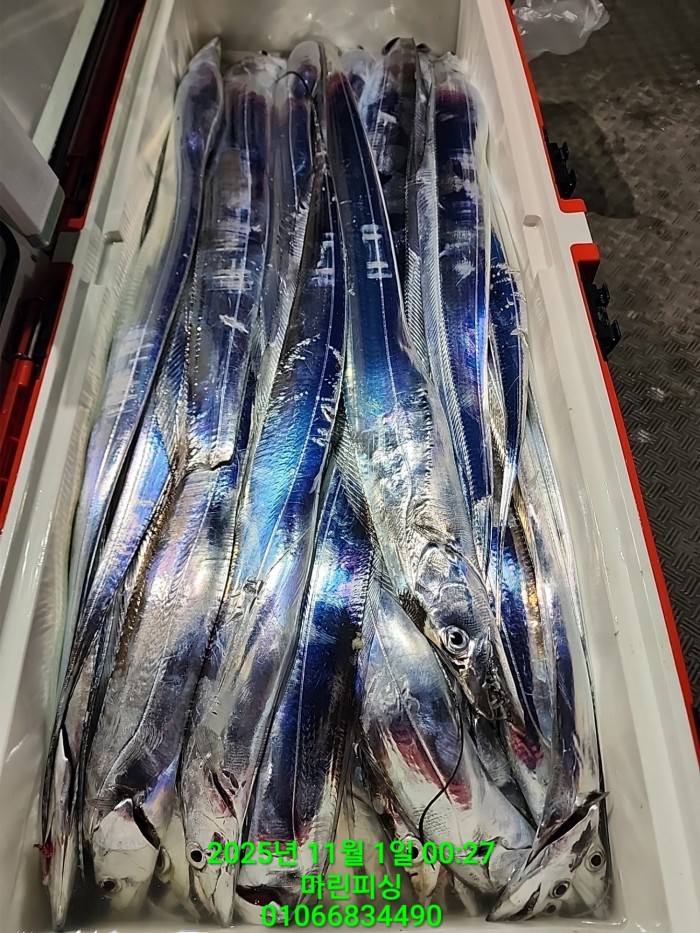 e264b1bee7664a93722fe29646fa96a9_1761956321_2726.jpg e264b1bee7664a93722fe29646fa96a9_1761956321_2726.jpg