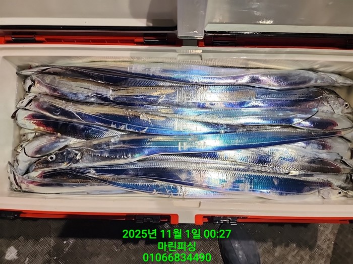 e264b1bee7664a93722fe29646fa96a9_1761956322_981.jpg e264b1bee7664a93722fe29646fa96a9_1761956322_981.jpg