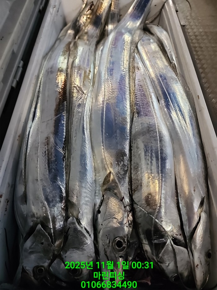 e264b1bee7664a93722fe29646fa96a9_1761956324_2397.jpg e264b1bee7664a93722fe29646fa96a9_1761956324_2397.jpg