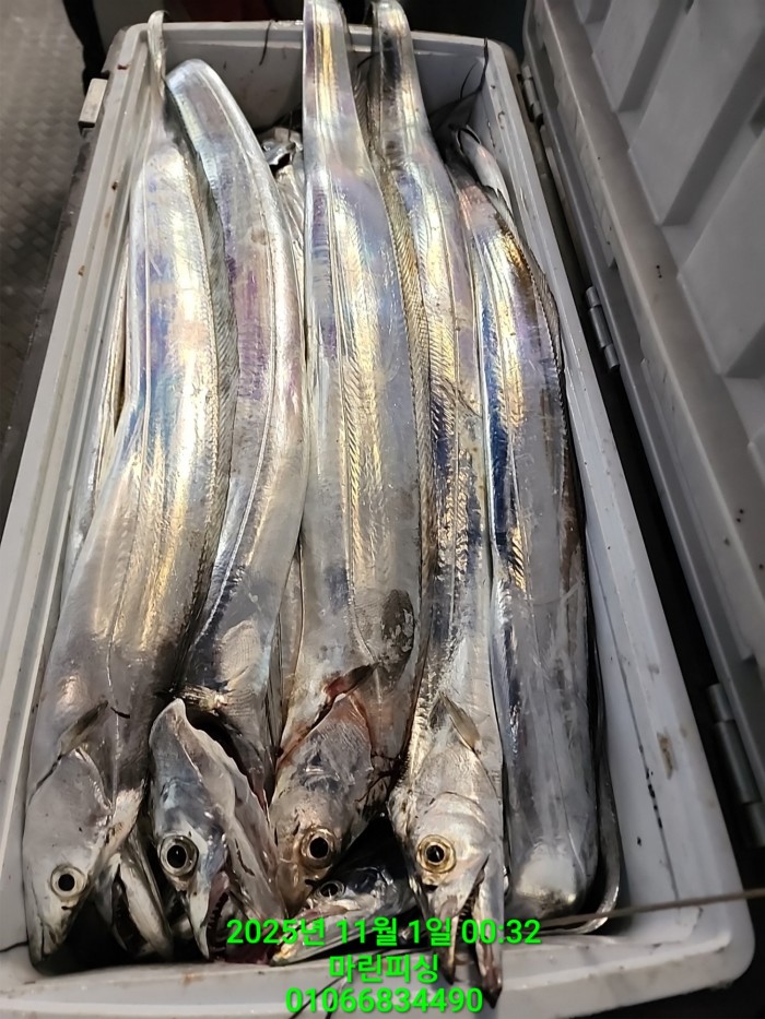 e264b1bee7664a93722fe29646fa96a9_1761956325_6639.jpg e264b1bee7664a93722fe29646fa96a9_1761956325_6639.jpg