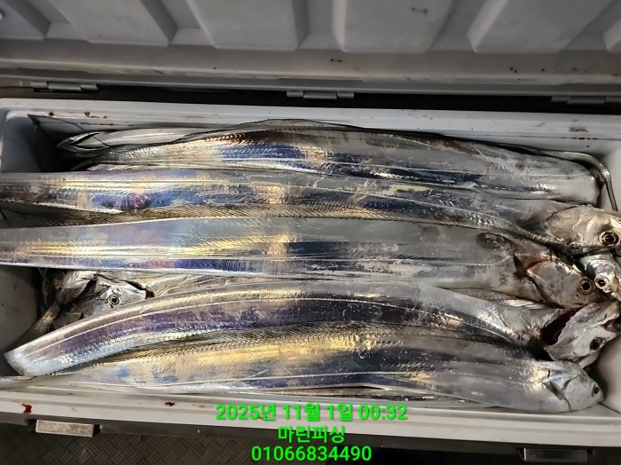 e264b1bee7664a93722fe29646fa96a9_1761956327_052.jpg e264b1bee7664a93722fe29646fa96a9_1761956327_052.jpg