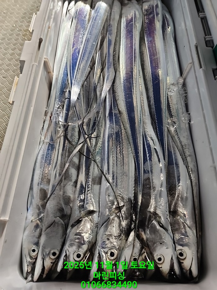 e264b1bee7664a93722fe29646fa96a9_1761956328_3998.jpg e264b1bee7664a93722fe29646fa96a9_1761956328_3998.jpg