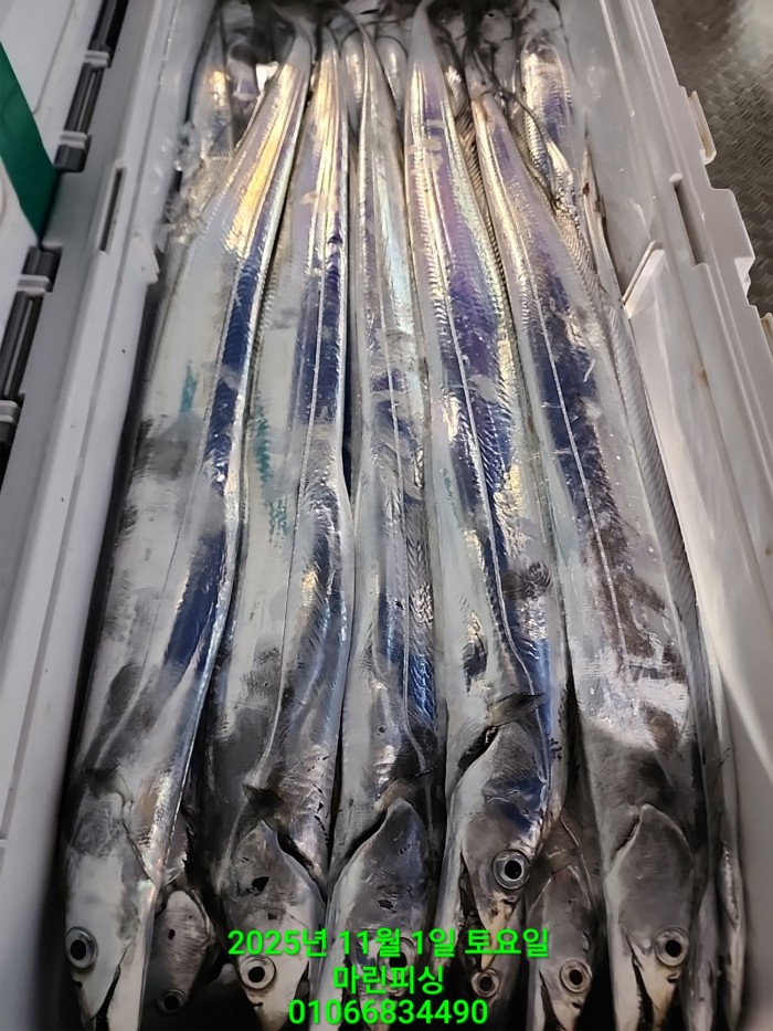 e264b1bee7664a93722fe29646fa96a9_1761956329_749.jpg e264b1bee7664a93722fe29646fa96a9_1761956329_749.jpg