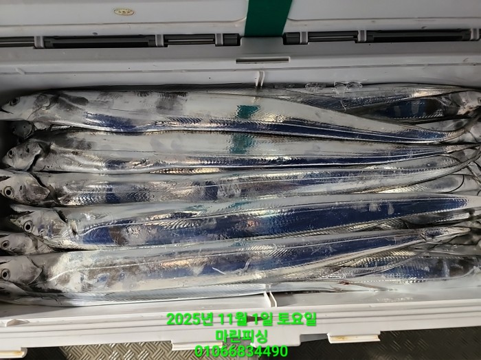 e264b1bee7664a93722fe29646fa96a9_1761956331_2437.jpg e264b1bee7664a93722fe29646fa96a9_1761956331_2437.jpg