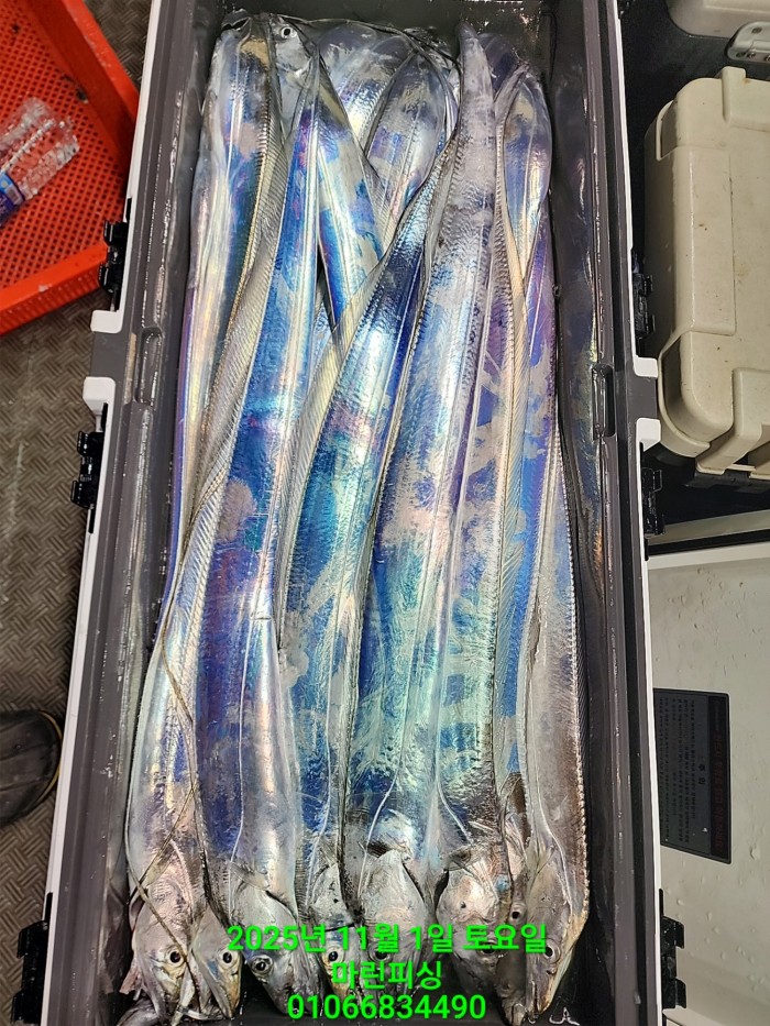 e264b1bee7664a93722fe29646fa96a9_1761956335_0382.jpg e264b1bee7664a93722fe29646fa96a9_1761956335_0382.jpg