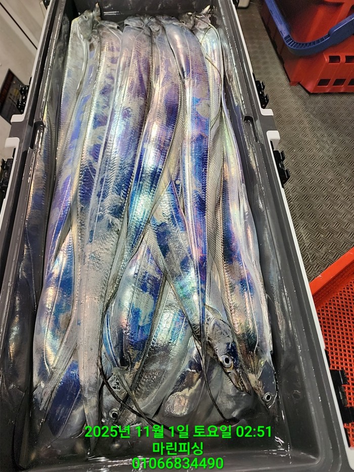 e264b1bee7664a93722fe29646fa96a9_1761956336_9674.jpg e264b1bee7664a93722fe29646fa96a9_1761956336_9674.jpg