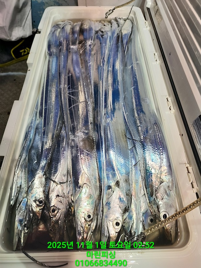 e264b1bee7664a93722fe29646fa96a9_1761956342_3288.jpg e264b1bee7664a93722fe29646fa96a9_1761956342_3288.jpg