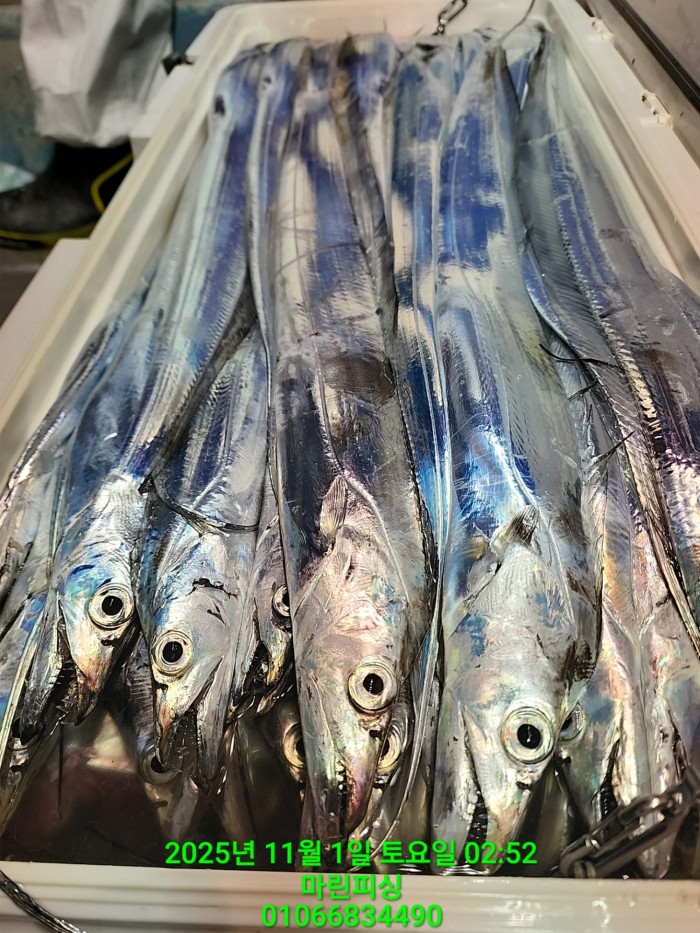 e264b1bee7664a93722fe29646fa96a9_1761956344_0472.jpg e264b1bee7664a93722fe29646fa96a9_1761956344_0472.jpg