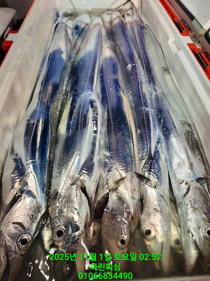 e264b1bee7664a93722fe29646fa96a9_1761956345_7175.jpg e264b1bee7664a93722fe29646fa96a9_1761956345_7175.jpg