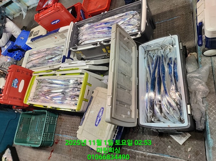 e264b1bee7664a93722fe29646fa96a9_1761956347_6585.jpg e264b1bee7664a93722fe29646fa96a9_1761956347_6585.jpg