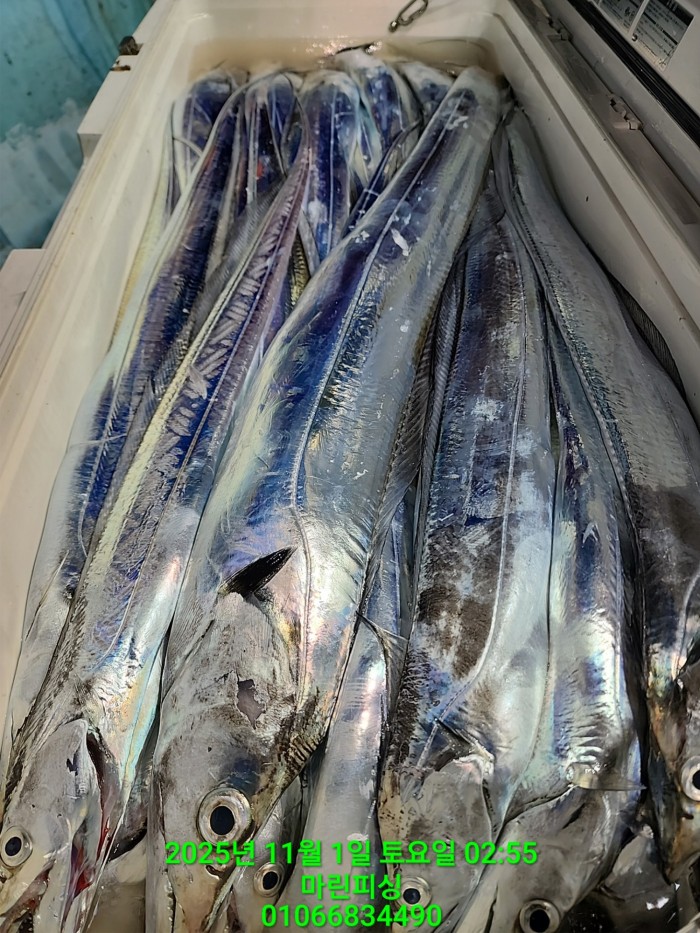 e264b1bee7664a93722fe29646fa96a9_1761956352_5188.jpg e264b1bee7664a93722fe29646fa96a9_1761956352_5188.jpg