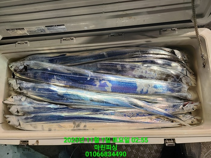 e264b1bee7664a93722fe29646fa96a9_1761956354_2318.jpg e264b1bee7664a93722fe29646fa96a9_1761956354_2318.jpg