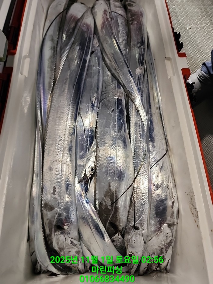 e264b1bee7664a93722fe29646fa96a9_1761956355_5004.jpg e264b1bee7664a93722fe29646fa96a9_1761956355_5004.jpg